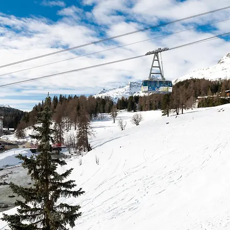 놀다 세인트모리츠