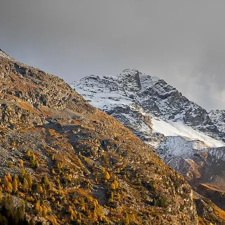 호텔 놀다 세인트모리츠