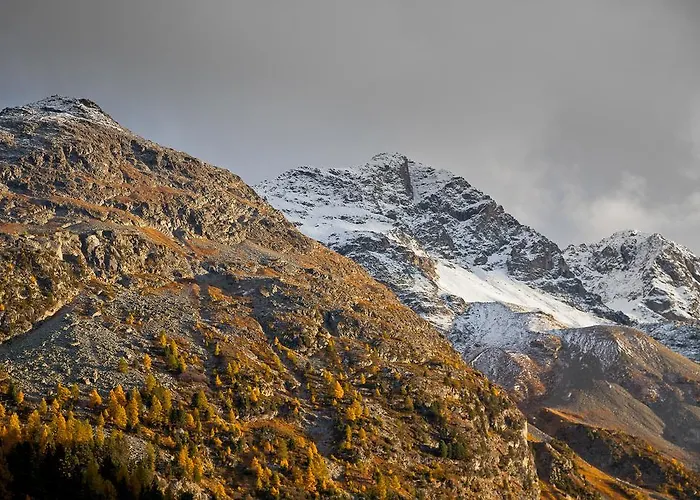 호텔 놀다 세인트모리츠